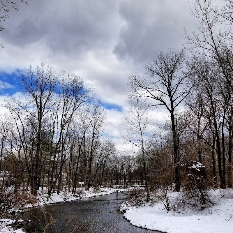 Saddle River County Park-Wild Duck Pond Area - Ridgewood, NJ