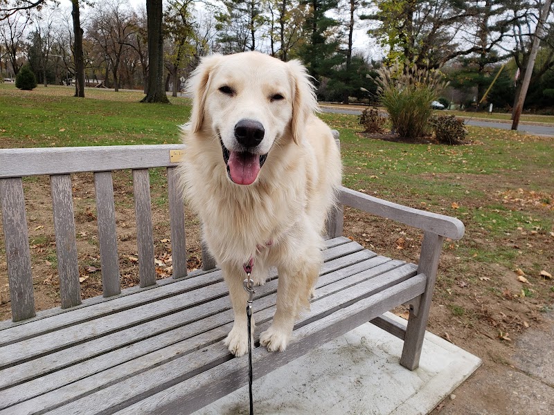 Leuning Park - Ridgewood, NJ