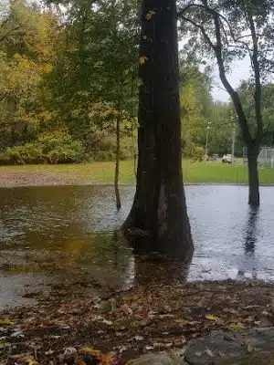 Leuning Park