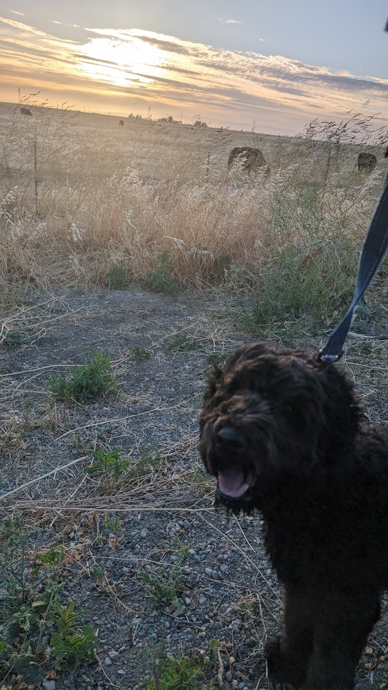 Dog park - Rio Vista, CA
