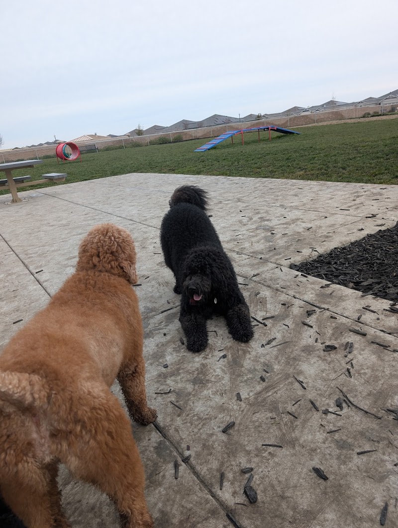 Dog park - Rio Vista, CA