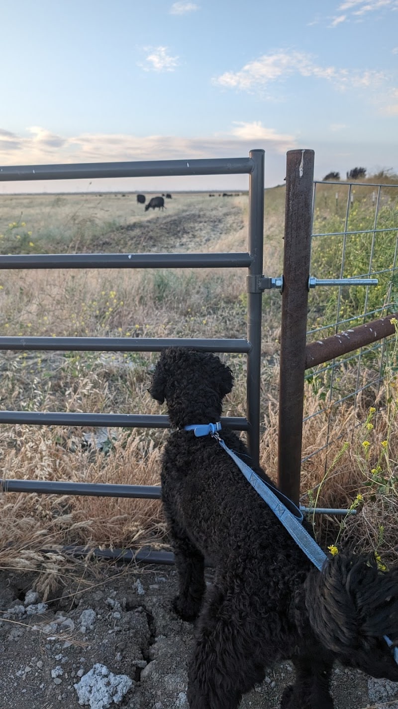 Dog park - Rio Vista, CA