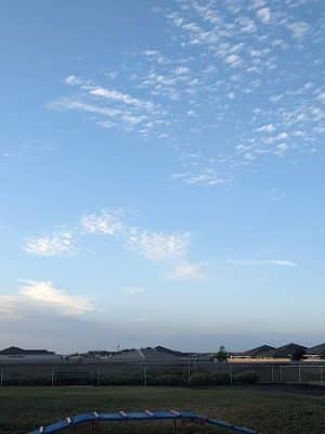 Dog park