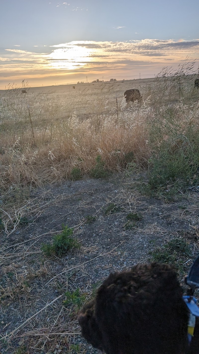 Dog park - Rio Vista, CA