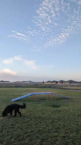 Dog park
