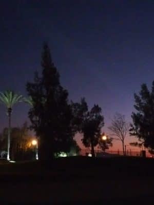 Trilogy at Rio Vista Dog Park