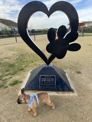 Trilogy at Rio Vista Dog Park