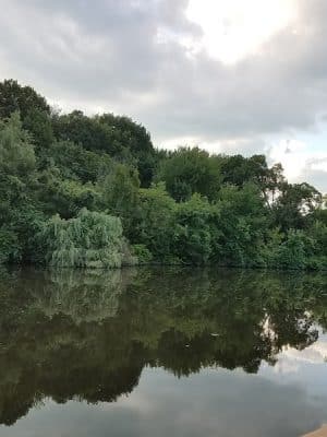 Walden Duck Pond