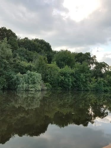Walden Duck Pond