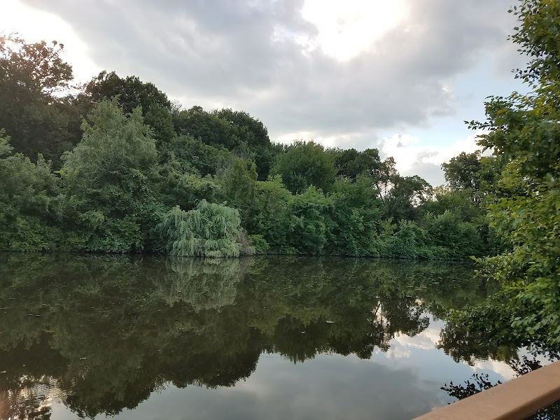 Walden Duck Pond - River Edge, NJ