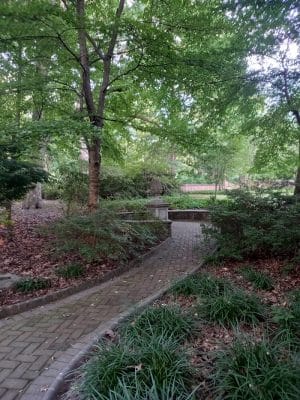 Walden Duck Pond