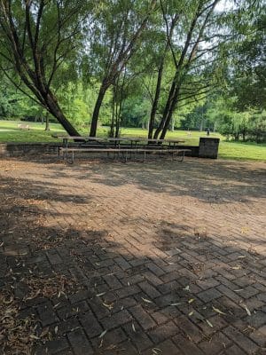 Walden Duck Pond