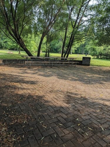 Walden Duck Pond