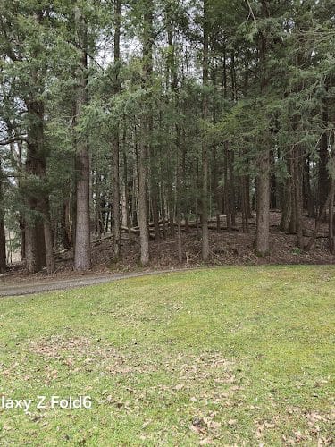 Walden Duck Pond