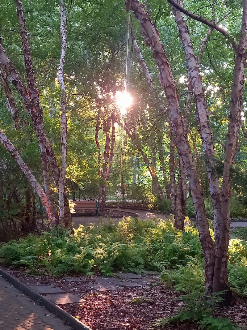 Walden Duck Pond - River Edge, NJ