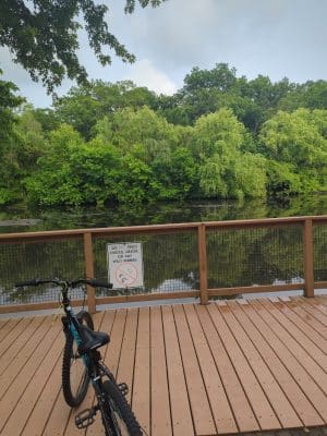 Walden Duck Pond