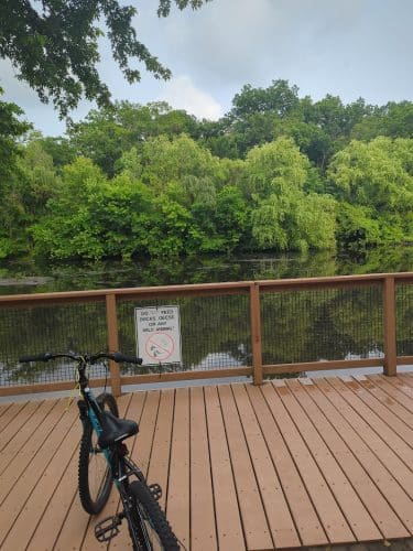Walden Duck Pond