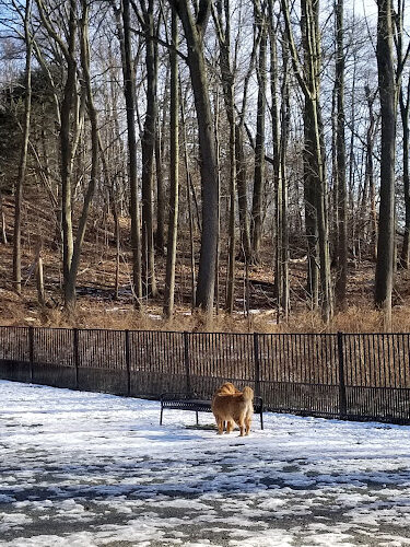 Van Saun Dog Park