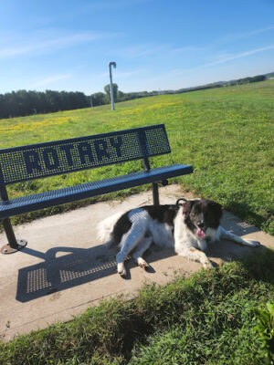 River Falls Dog Park