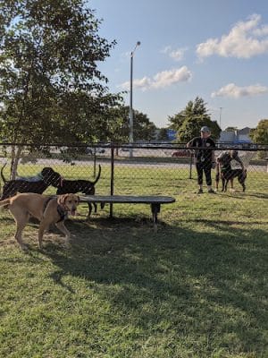 Halifax County Visitor Center Dog Run - Roanoke Rapids, NC