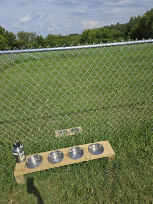 Roberts Dog Park