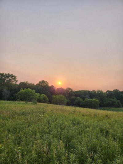 Bear Creek Nature Park - Rochester, MI