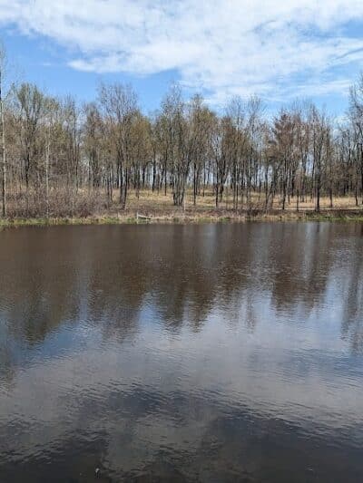 Bear Creek Nature Park - Rochester, MI