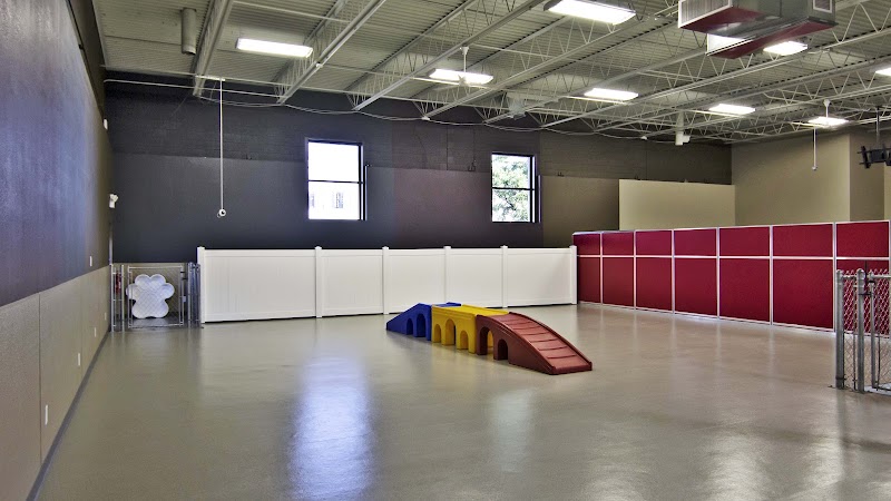 All American Pet Resorts Rochester Hills - Rochester Hills,