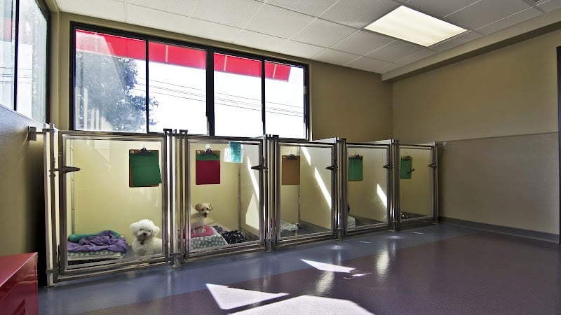 All American Pet Resorts Rochester Hills - Rochester Hills,