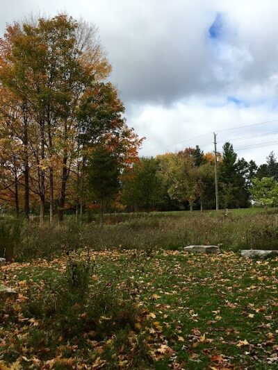 Avon Nature Area - Rochester Hills,