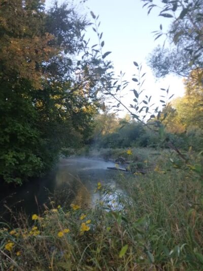 Avon Nature Area - Rochester Hills,