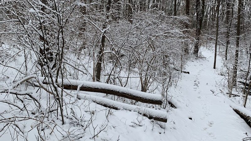 Bloomer Park - Rochester Hills,
