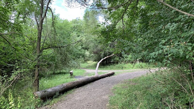 Bloomer Park - Rochester Hills,