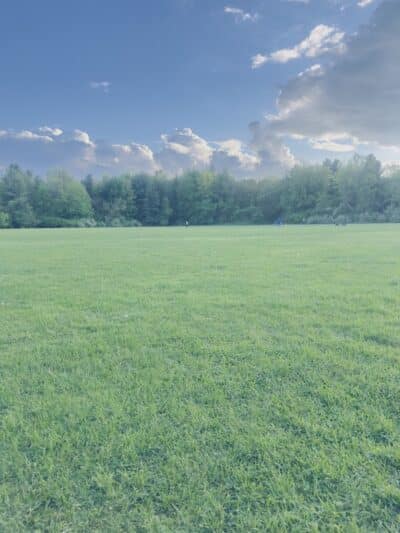 Bloomer Park - Rochester Hills,