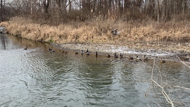 Bloomer Park - Rochester Hills,