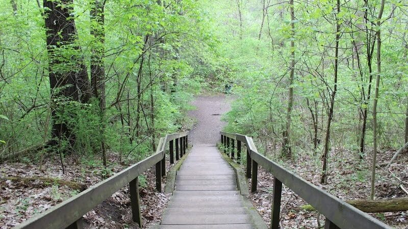 Bloomer Park - Rochester Hills,