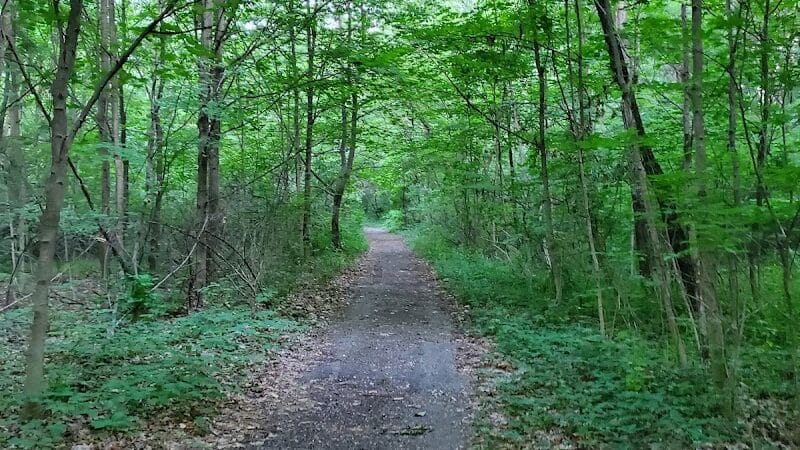 Borden Park - Rochester Hills,