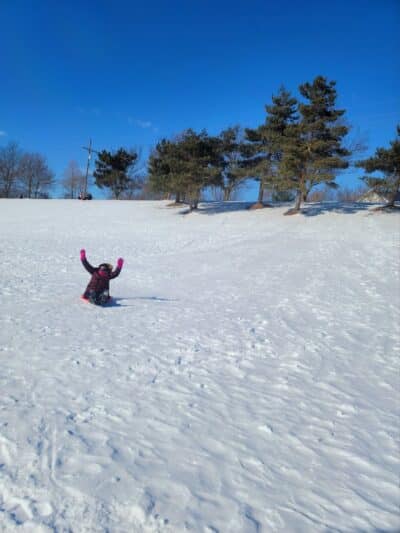 Borden Park - Rochester Hills,