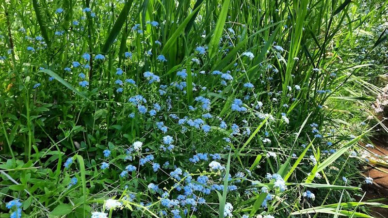 Highlands Sensory Trailhead - Rochester Hills,