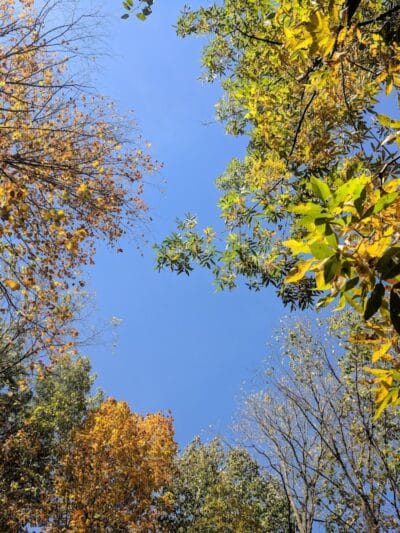 Highlands Sensory Trailhead - Rochester Hills,