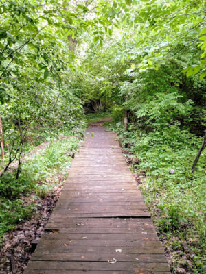 Avon Nature Area