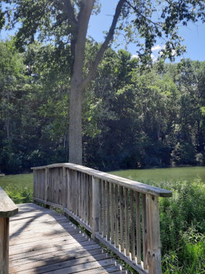 Highlands Sensory Trailhead