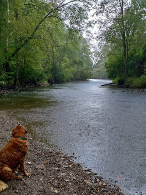 Yates Cider Mill Trail