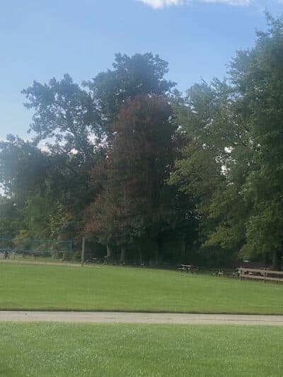 Spencer Park and Beach - Rochester Hills,