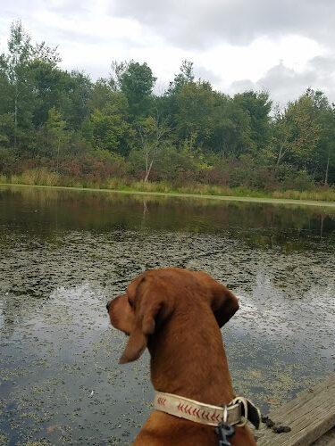 Bear Creek Nature Park