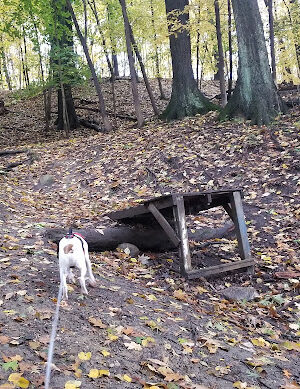 Letica Drive Trailhead