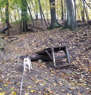 Letica Drive Trailhead