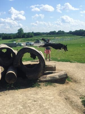 River Road Dog Park