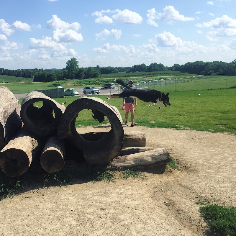 River Road Dog Park - Rochester, MN