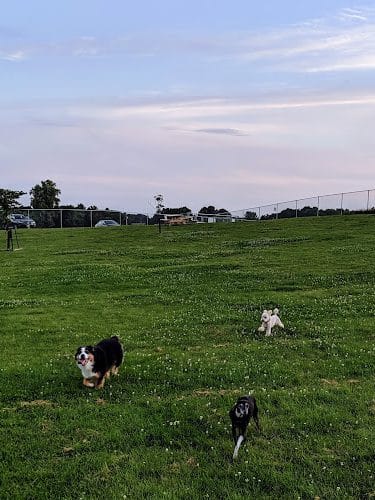River Road Dog Park